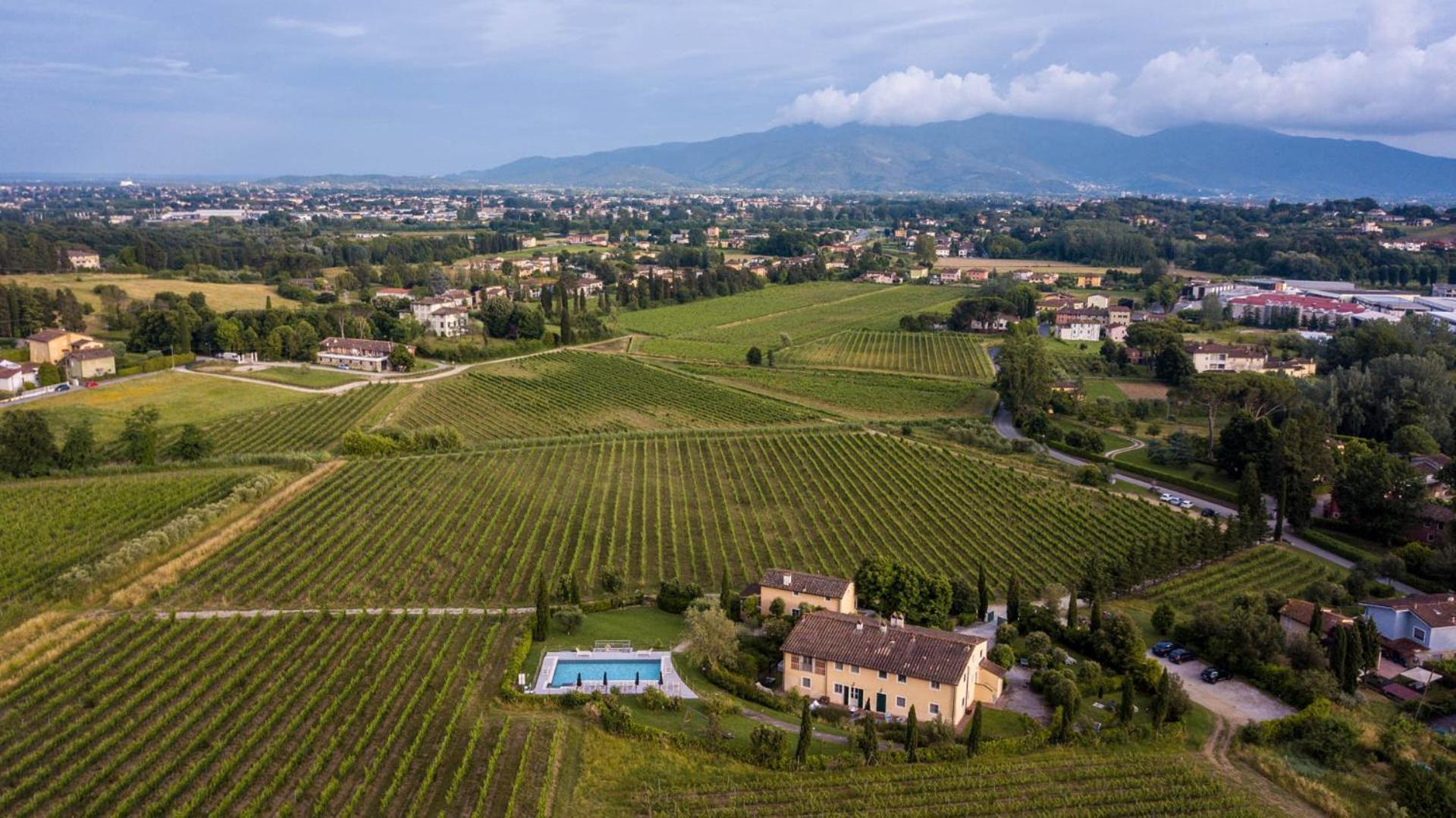Pietro In Wine In * Lucques