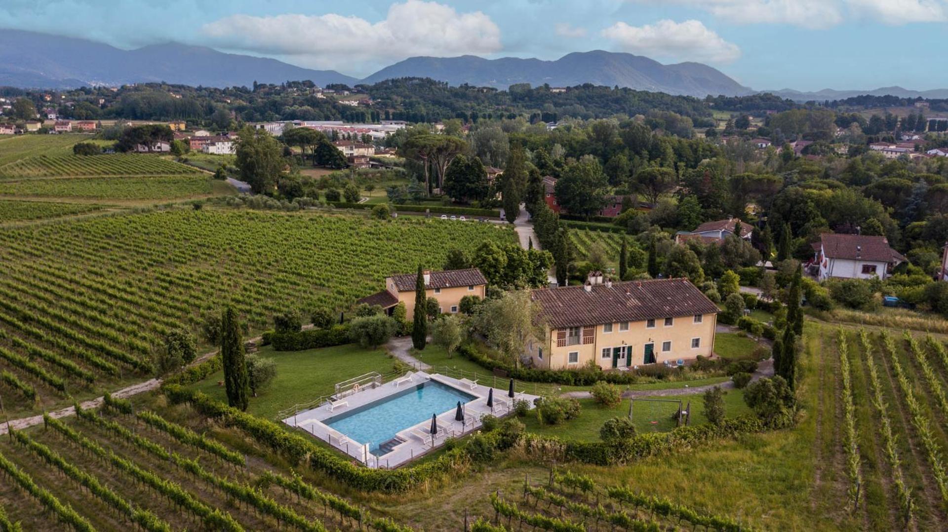 Appartement Pietro In Wine In *